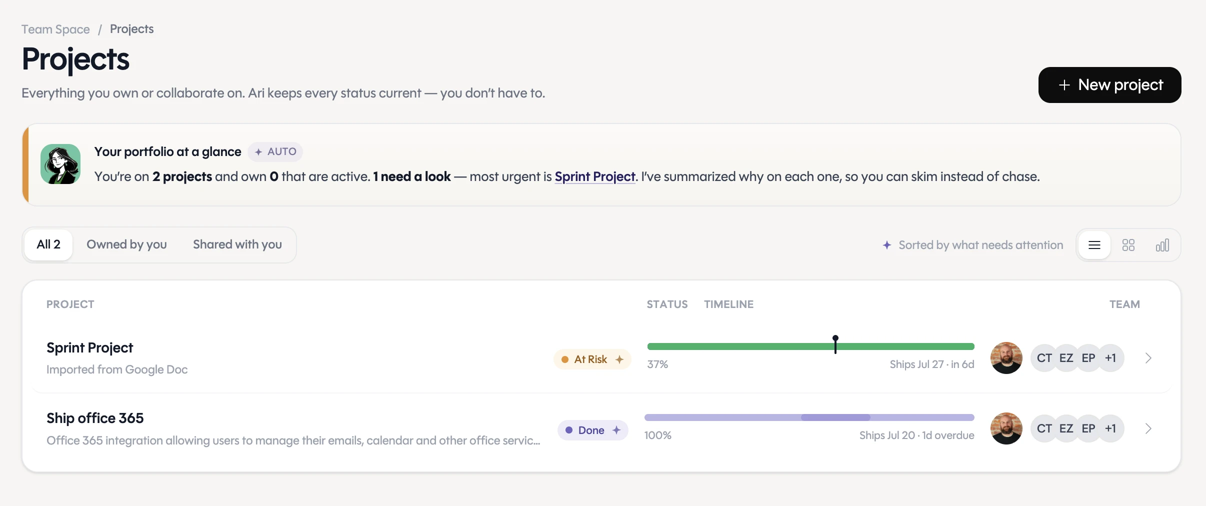 Actvian's project list — every project you own, with status and owners